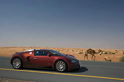 Bugatti Veyron