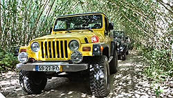 Jeep Club international