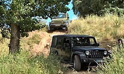 Jeep Club international