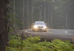 Suzuki Kizashi